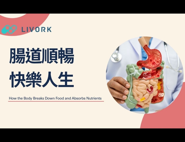 腸道順暢、快樂人生