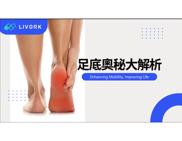 足底奧秘大解析