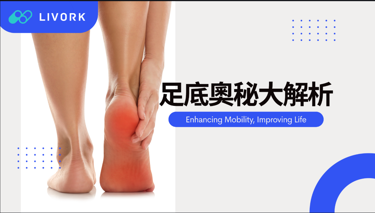 足底奧秘大解析